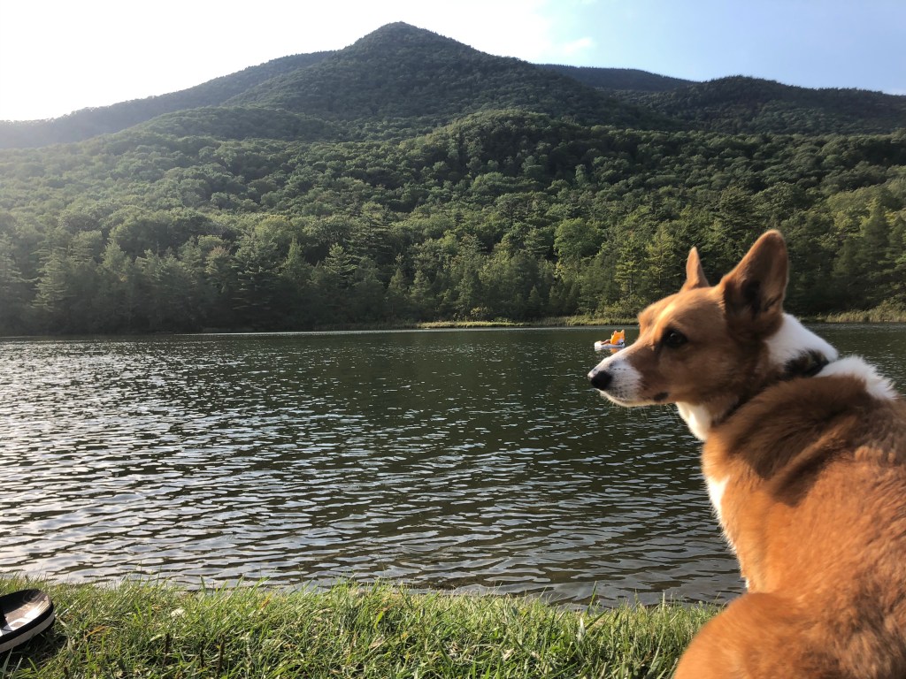 Winston at Equinox Pond