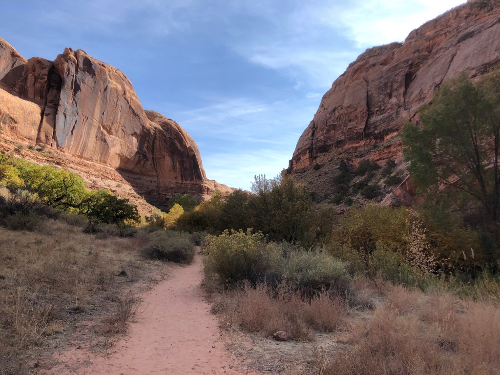 Entering Grandstaff Canyon