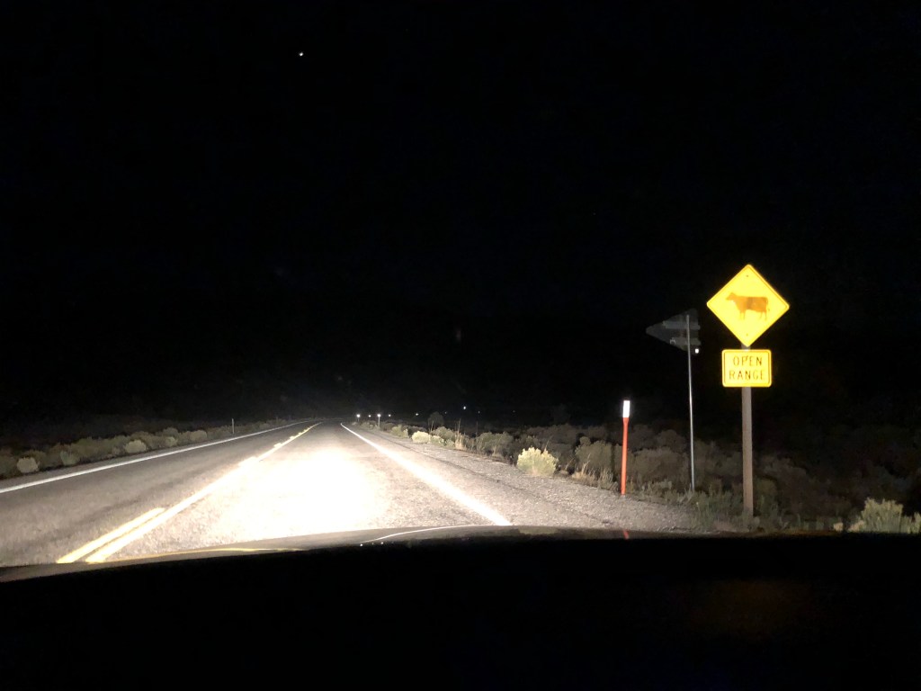 Shortly after I almost hit a cow